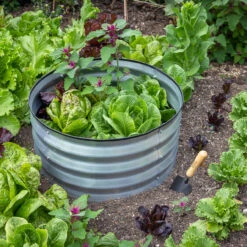 Galvanised Raised Beds