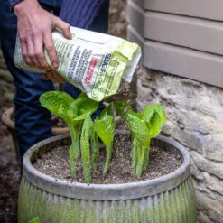 Seaweed Slug Repellent (Soil Enhancer)