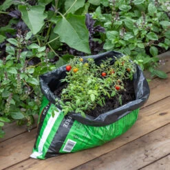 Peat Free Wool Compost For Tomatoes