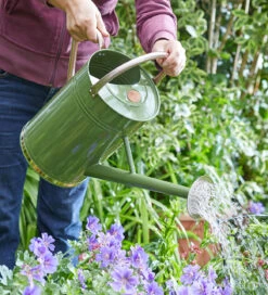 9L Watering Can -Plant Supply Store 430145 1 38939.1668697426