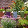 9L Watering Can