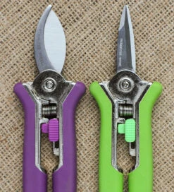 Sarah Raven Mini Secateurs Set -Plant Supply Store 440042 3 08955.1619016041