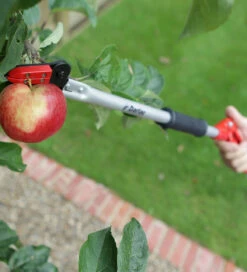 Long-handled Pruner