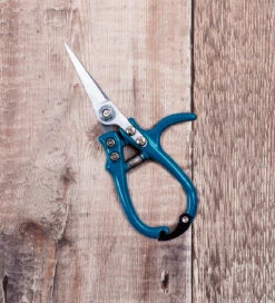 New Release 19 Sarah Raven Ergo Snips