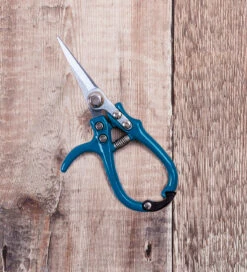 Sarah Raven Ergo Snips -Plant Supply Store 440091 3 77258.1616167837