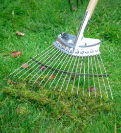New Release 7 Lawn Rake