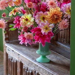 Favourite Jade Vase -Plant Supply Store 450131 5 42894.1654690573