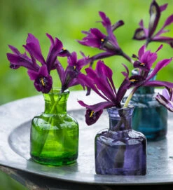 Ink Bottle Vases -Plant Supply Store 450212 2 74924.1663250984