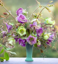 Flute Vase -Plant Supply Store 450259 3 06926.1632138108