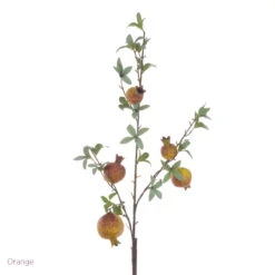 Pomegranate Spray -Plant Supply Store 450353 4Label 61117.1686056318