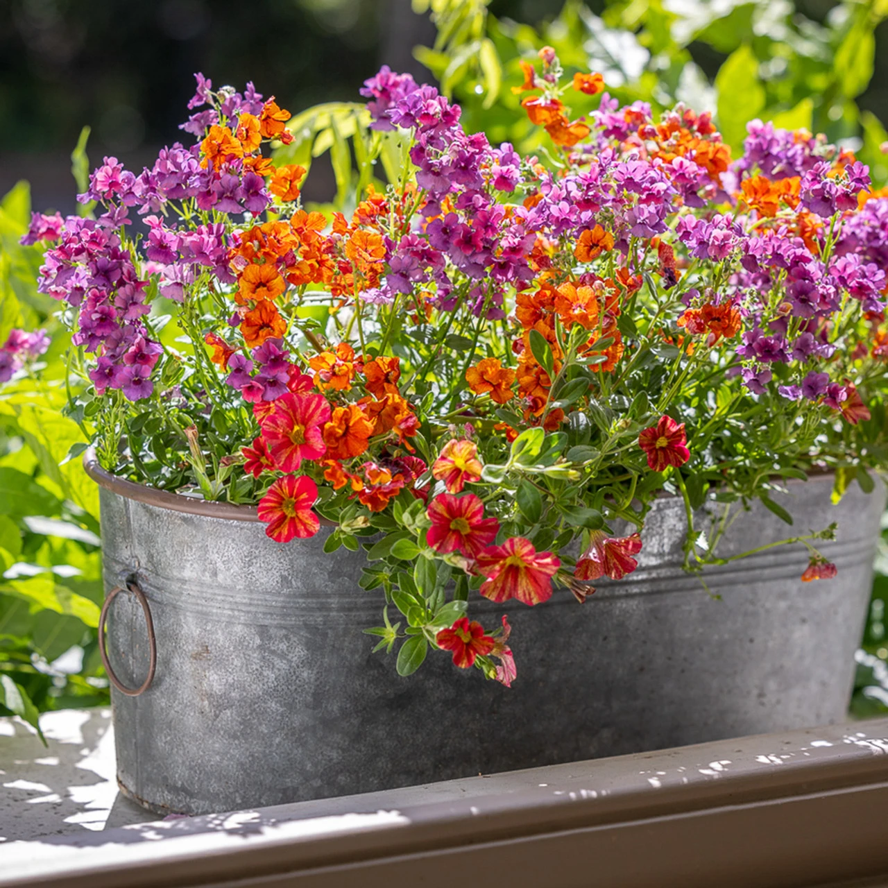 Summer Fruit Salad Container Collection 2 Summer Fruit Salad Container Collection - Image 2