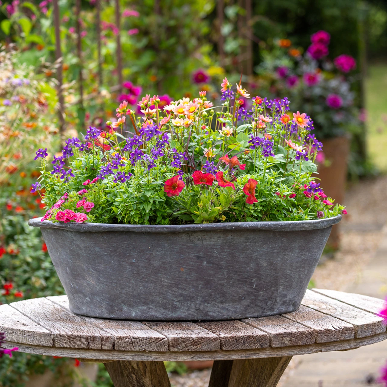 Mille Feuille Collection 1 Mille Feuille Collection