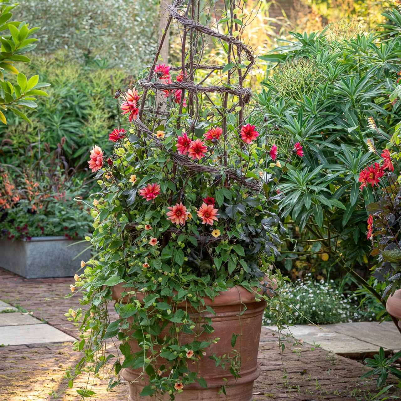 Curtain And Swags Collection 1 Curtain And Swags Collection