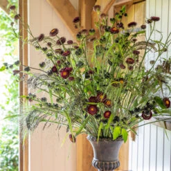 The Everlasting Rich Collection