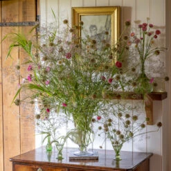 The Everlasting Pale Collection