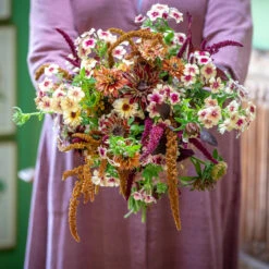 Sahara Sunset Collection